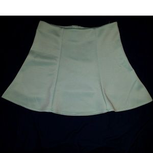 *BRAND NEW CONDITION* Mint Skirt By Seventeen